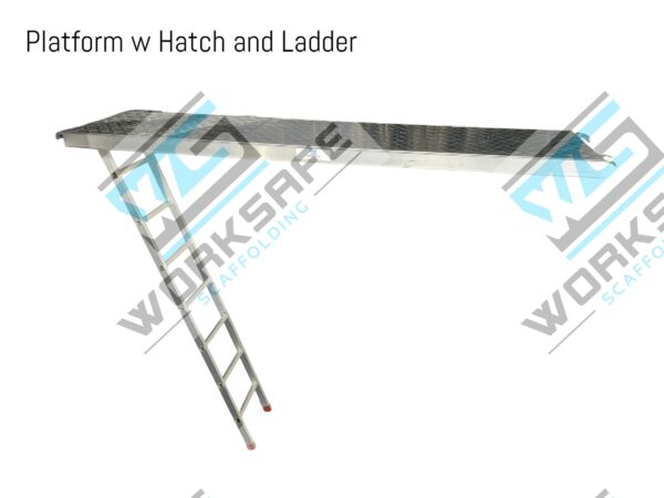 Platform w Hatch and Ladder 3.07x0.62m - Image 2